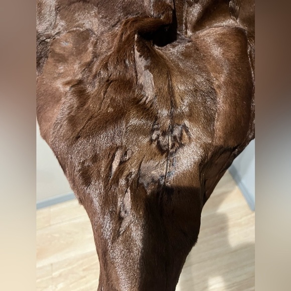 COPY - Vintage 1950’s Fur cape - Picture 5 of 8